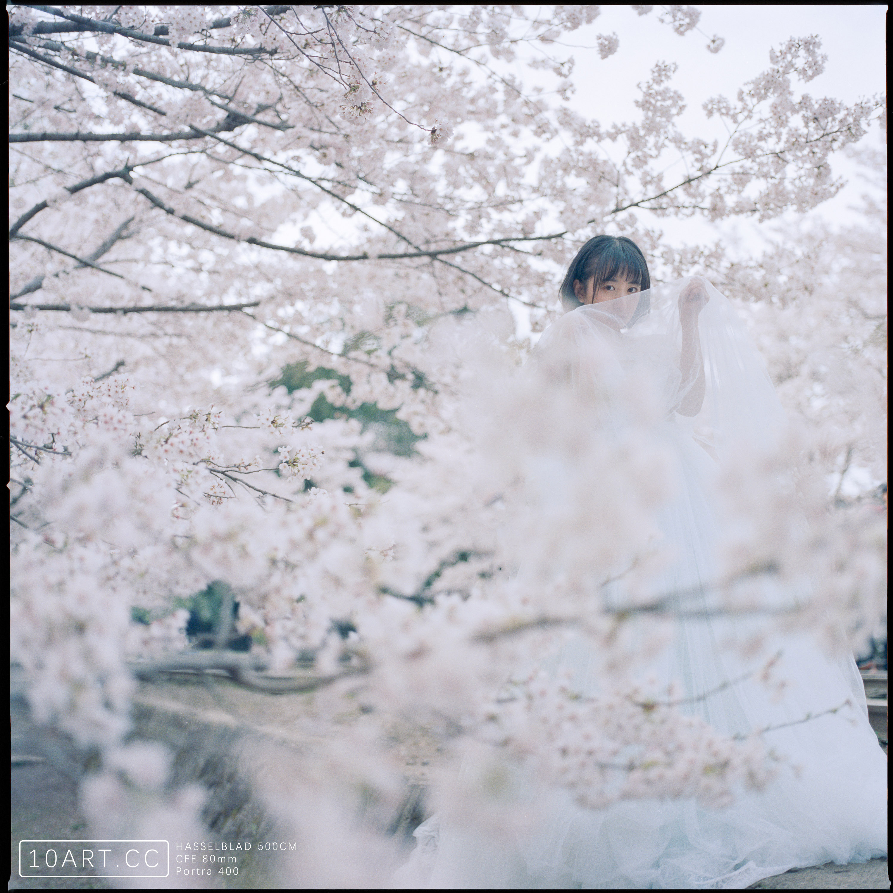 https://cdn.taot.cc/wp-content/uploads/201711/portra4007.jpg?x-oss-process=image/interlace,1/quality,Q_100