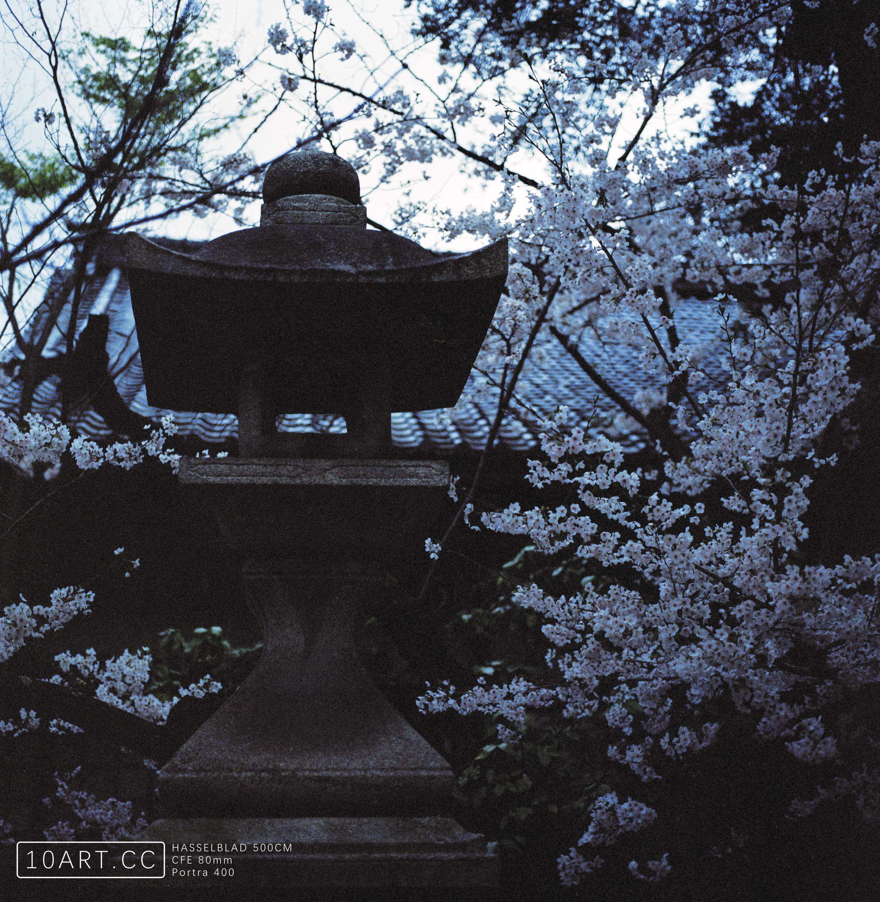 日本走走停停-胶片 https://cdn.taot.cc/wp-content/uploads/image/b/ec/849c3cf979198975d053dd590c1d4.jpg?x-oss-process=image/interlace,1/quality,Q_100